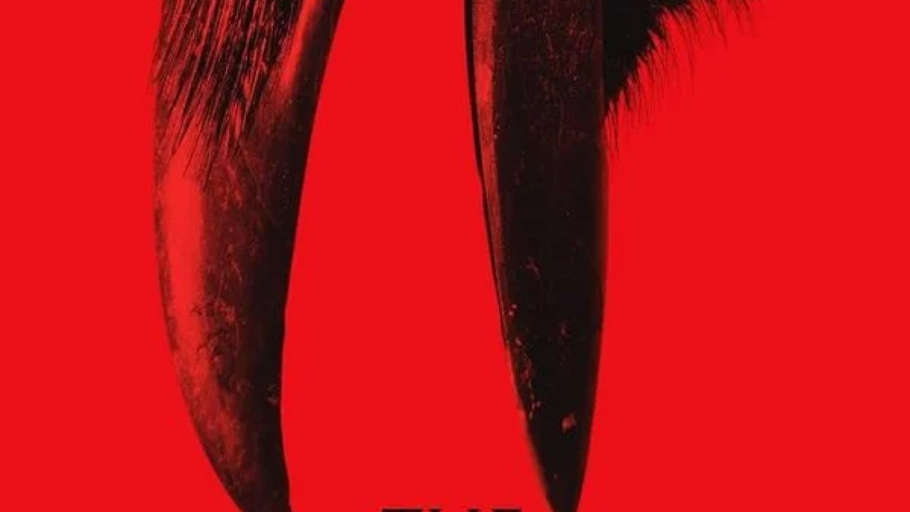 فيلم The Beldham 2025 مترجم